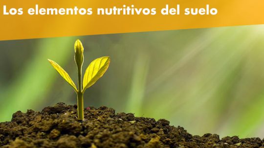 Los elementos nutritivos que debe tener el suelo para sembrar plantas